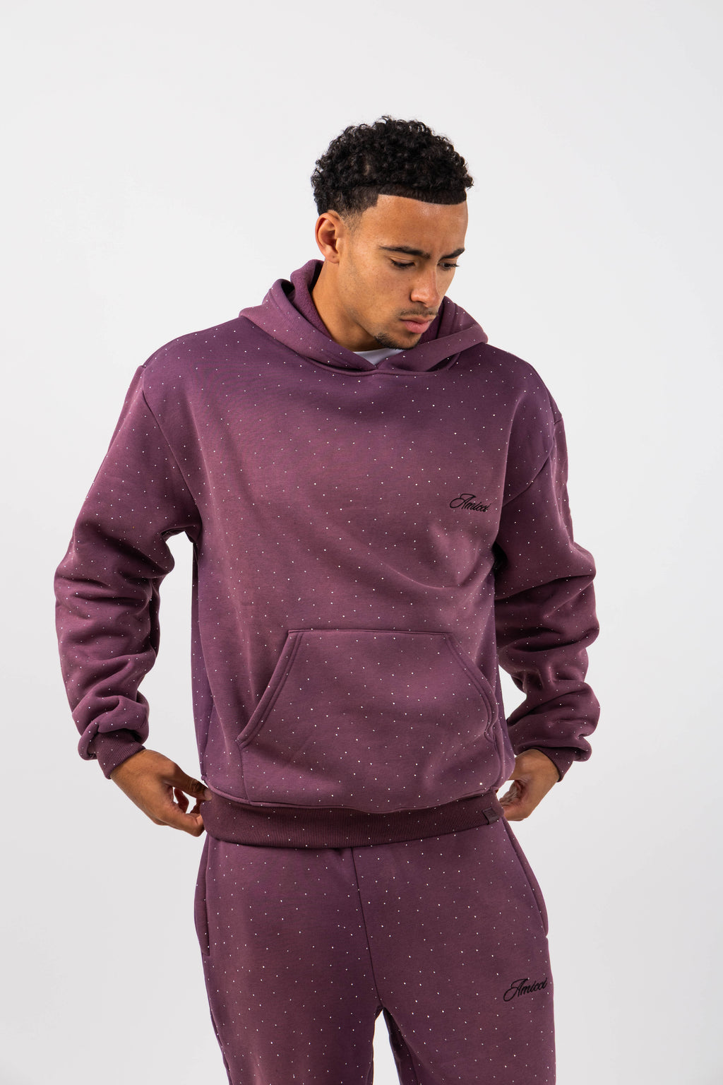 Massimo Embellished Hoodie Plum